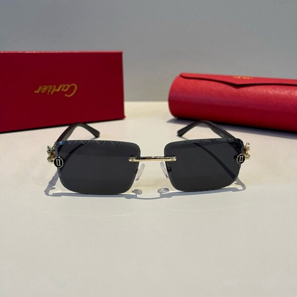 Cartier Women\'s Black Sunglasses main image 6